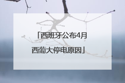 西班牙公布4月西葡大停电原因