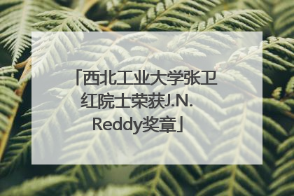 西北工业大学张卫红院士荣获J.N.Reddy奖章