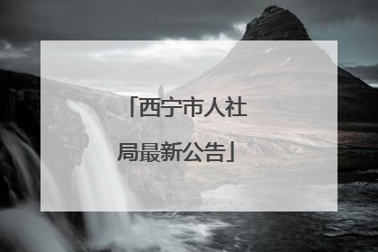 西宁市人社局最新公告