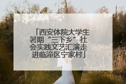 西安体院大学生暑期“三下乡”社会实践文艺汇演走进临潼区宁家村