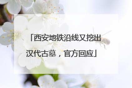 西安地铁沿线又挖出汉代古墓，官方回应