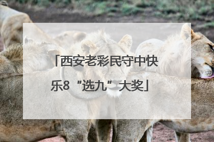 西安老彩民守中快乐8“选九”大奖