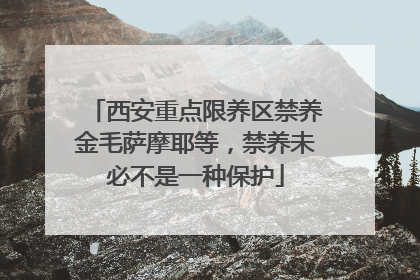 西安重点限养区禁养金毛萨摩耶等，禁养未必不是一种保护