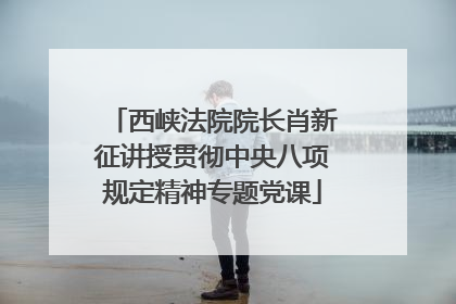 西峡法院院长肖新征讲授贯彻中央八项规定精神专题党课