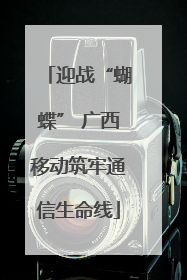 迎战“蝴蝶” 广西移动筑牢通信生命线