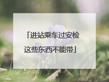 进站乘车过安检 这些东西不能带