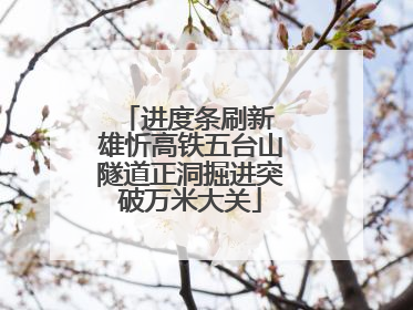 进度条刷新 雄忻高铁五台山隧道正洞掘进突破万米大关