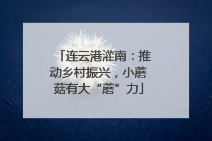 连云港灌南：推动乡村振兴，小蘑菇有大“蘑”力