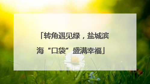 转角遇见绿，盐城滨海“口袋”盛满幸福