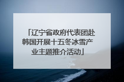 辽宁省政府代表团赴韩国开展十五冬冰雪产业主题推介活动