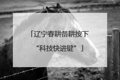 辽宁春耕备耕按下“科技快进键”