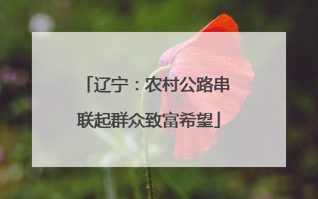 辽宁：农村公路串联起群众致富希望