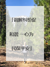 调解纠纷促和谐 一心为民保平安
