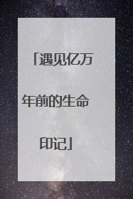 遇见亿万年前的生命印记