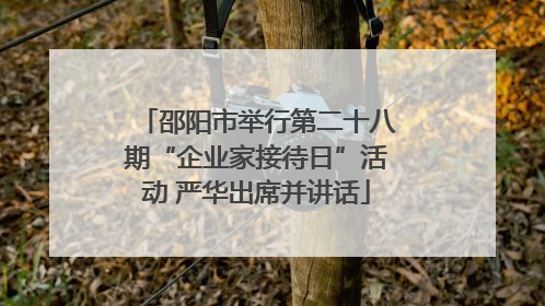 邵阳市举行第二十八期“企业家接待日”活动 严华出席并讲话