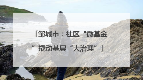 邹城市：社区“微基金”撬动基层“大治理”