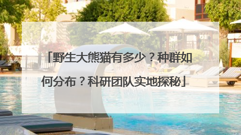 野生大熊猫有多少？种群如何分布？科研团队实地探秘