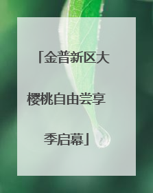 金普新区大樱桃自由尝享季启幕
