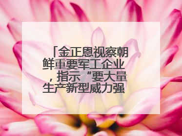 金正恩视察朝鲜重要军工企业，指示“要大量生产新型威力强大的炮弹”