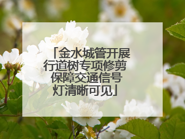 金水城管开展行道树专项修剪 保障交通信号灯清晰可见