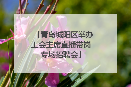 青岛城阳区举办工会主席直播带岗专场招聘会