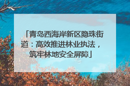 青岛西海岸新区隐珠街道：高效推进林业执法，筑牢林地安全屏障