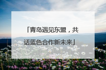 青岛遇见东盟，共话蓝色合作新未来