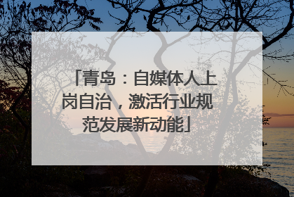 青岛：自媒体人上岗自治，激活行业规范发展新动能
