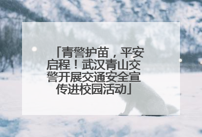 青警护苗，平安启程！武汉青山交警开展交通安全宣传进校园活动