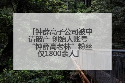 钟薛高子公司被申请破产 创始人账号“钟薛高老林”粉丝仅1800余人