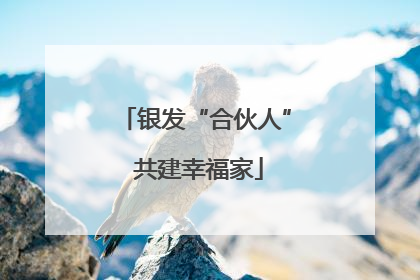 银发“合伙人” 共建幸福家