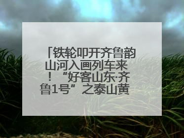 铁轮叩开齐鲁韵 山河入画列车来！“好客山东·齐鲁1号”之泰山黄河号旅游列车首发活动侧记