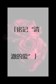 铭记“清澈的爱”
