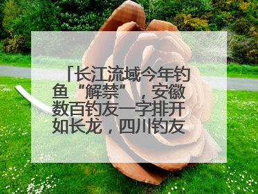 长江流域今年钓鱼“解禁”，安徽数百钓友一字排开如长龙，四川钓友称像过节