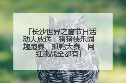 长沙世界之窗节日活动大放送，猪猪侠乐园趣跑赛、抓鸭大赛、网红挑战全都有