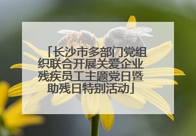 长沙市多部门党组织联合开展关爱企业残疾员工主题党日暨助残日特别活动