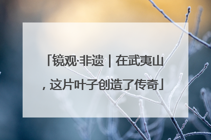 镜观·非遗｜在武夷山，这片叶子创造了传奇