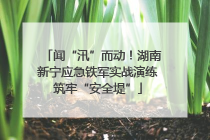 闻“汛”而动！湖南新宁应急铁军实战演练筑牢“安全堤”