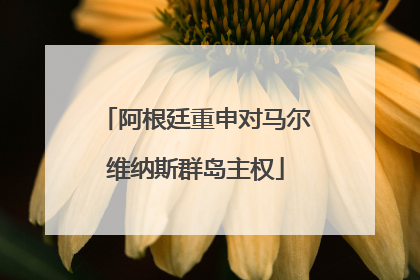 阿根廷重申对马尔维纳斯群岛主权