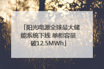 阳光电源全球最大储能系统下线 单柜容量破12.5MWh