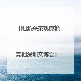 阳新采茶戏惊艳亮相深圳文博会