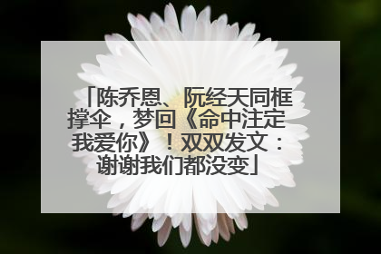陈乔恩、阮经天同框撑伞，梦回《命中注定我爱你》！双双发文：谢谢我们都没变
