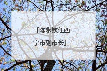 陈永钦任西宁市副市长