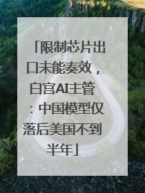 限制芯片出口未能奏效，白宫AI主管：中国模型仅落后美国不到半年