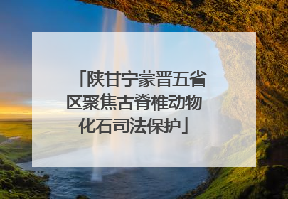 陕甘宁蒙晋五省区聚焦古脊椎动物化石司法保护