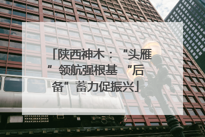 陕西神木：“头雁”领航强根基 “后备”蓄力促振兴