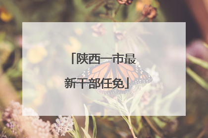 陕西一市最新干部任免