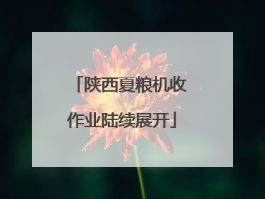 陕西夏粮机收作业陆续展开