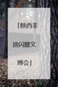 陕西非遗闪耀文博会