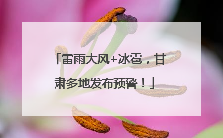 雷雨大风+冰雹，甘肃多地发布预警！